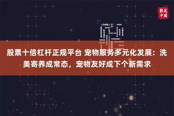 股票十倍杠杆正规平台 宠物服务多元化发展：洗美寄养成常态，宠物友好成下个新需求