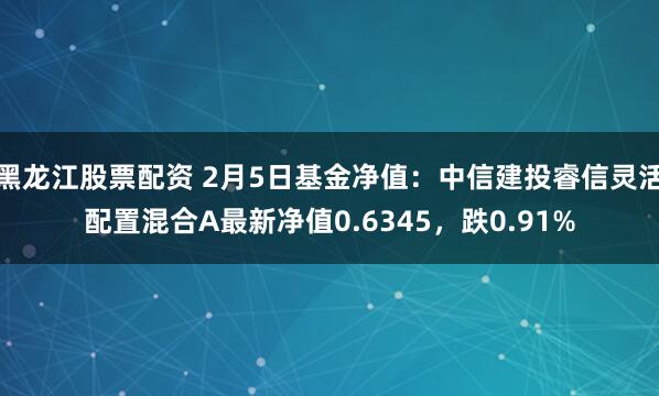 黑龙江股票配资 2月5日基金净值：中信建投睿信灵活配置混合A最新净值0.6345，跌0.91%